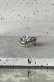 Merve ring - mixed metal